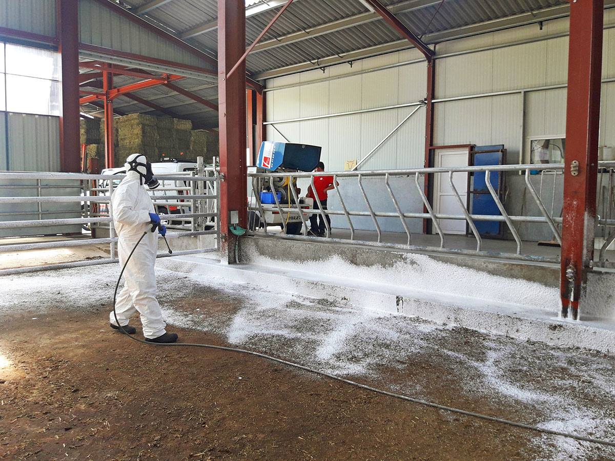 Décapage-désinfection - Farago Cantal