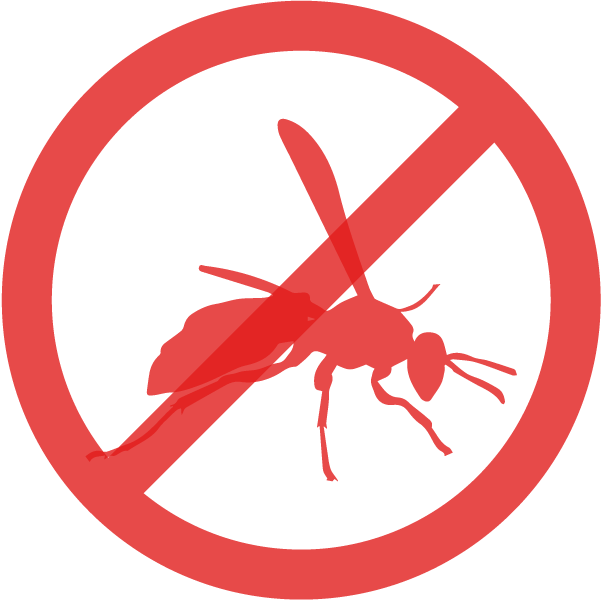 LUTTE CONTRE LES GUEPES - FARAGO CANTAL