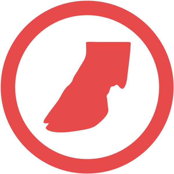 PARAGE DES BOVINS - FARAGO CANTAL