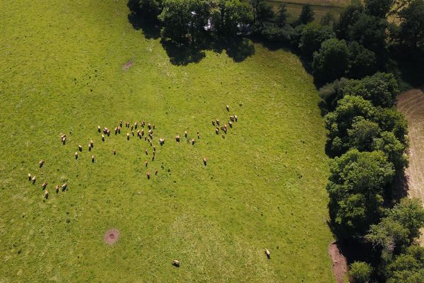 Analyse et qualité de l’eau - Farago CANTAL