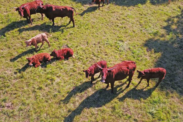 Analyse et qualité de l’eau - Farago CANTAL