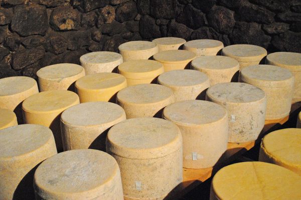 Lutte contre les rongeurs, rats, souris - Farago Cantal