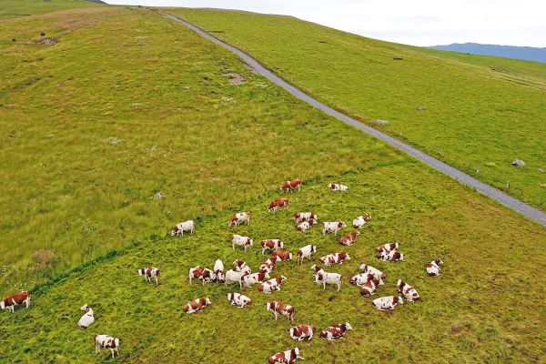 Analyse et qualité de l’eau - Farago CANTAL