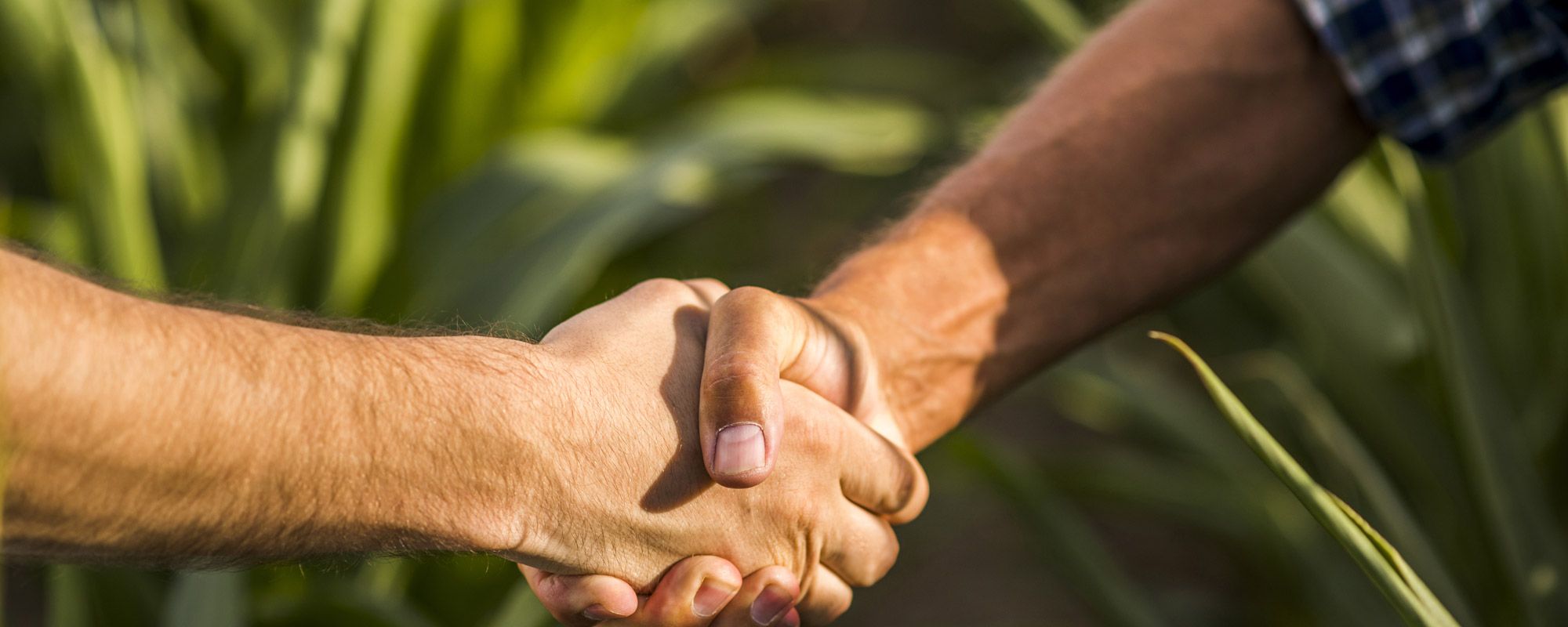  FARAGO CANTAL - PARTICULIERS, PROFESSIONNELS, COLLECTIVITÉS, ÉLEVEURS